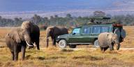 9 Days Kenya classic safari