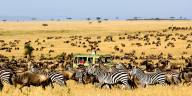 Serengeti National Park-Tanzania